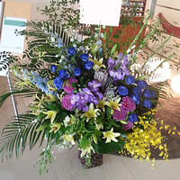 五反田の花屋 青いバラとユリ、バンダのゴージャスアレンジメント